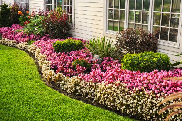 Garden Landscape Design in Shelton