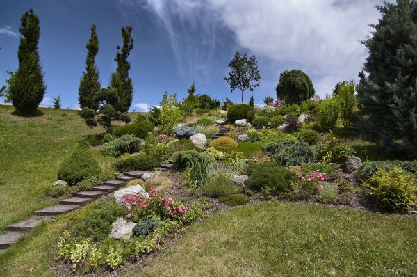 Steep Terrain Landscaping in Shelton