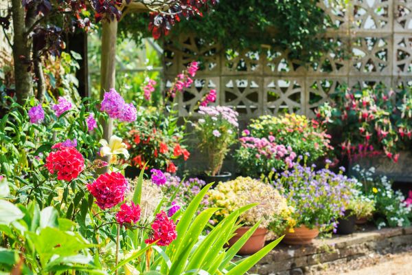 Spring Garden Maintenance in Shelton