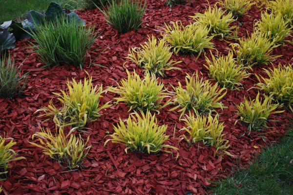 Red Mulch Installation in Shelton