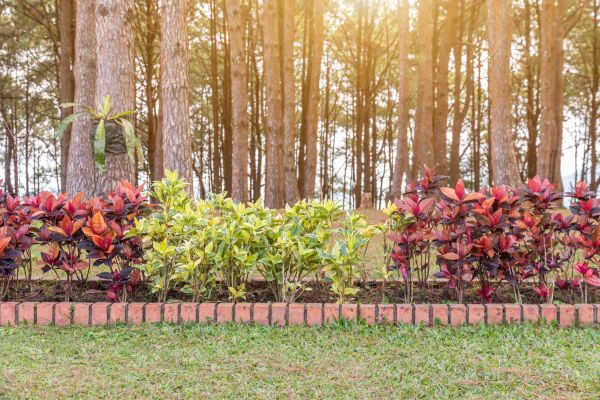Small Garden Landscaping in Shelton