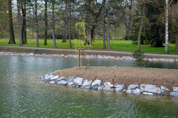 Pond Landscaping Service in Shelton