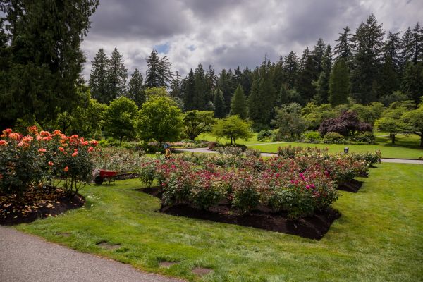 Flower Garden Landscaping in Shelton