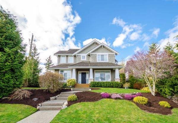 Landscaping Replacement in Shelton