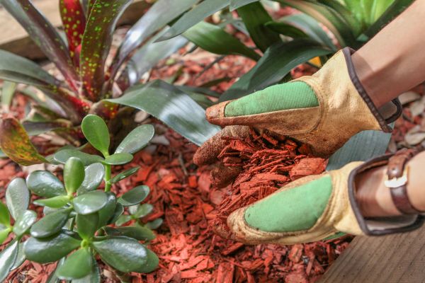 Residential Mulching in Shelton
