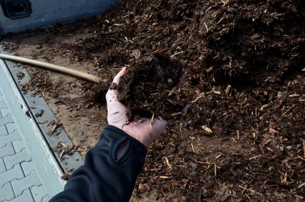 Condo Mulching in Shelton