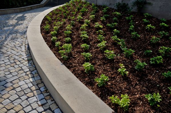 Commercial Mulching in Shelton