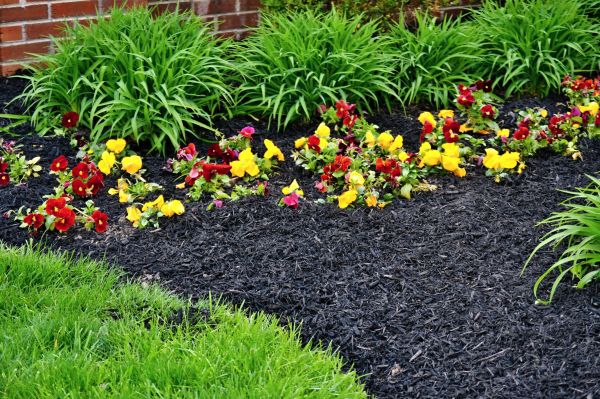 Apartment Mulching in Shelton