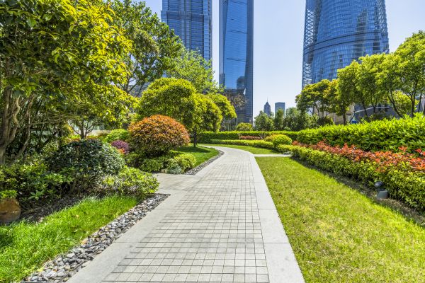 Commercial Landscaping in Shelton