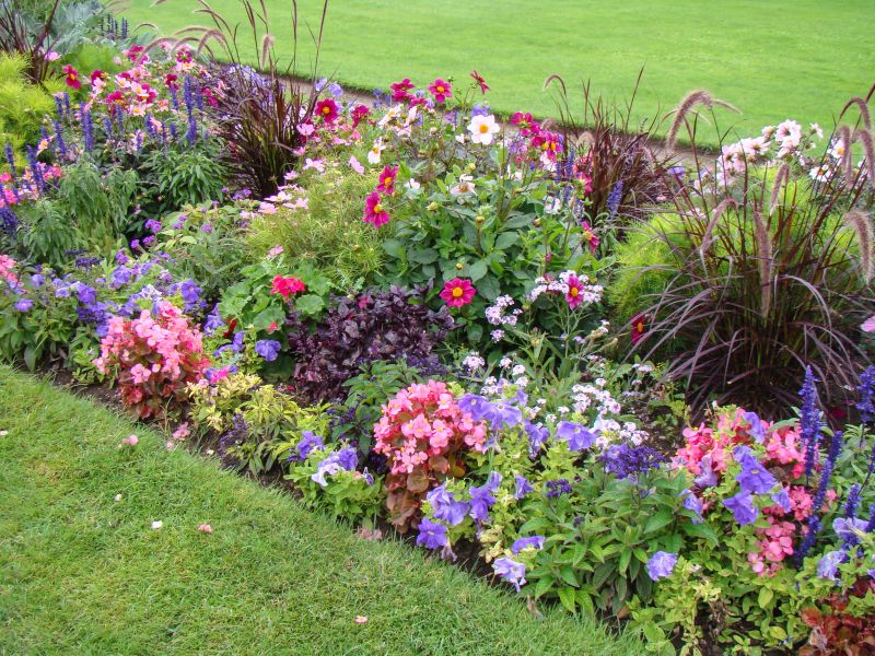 Vibrant Flower Beds